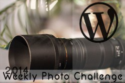 join in on quarksires fun at wordpress weekly photo challenge here